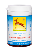 025 LADNOST �T�HL� GAZELY JI SHI WAN - XJC