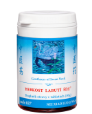 037 HEBKOST LABUT� ��JE NEI XIAO LUO LI WAN - NBW