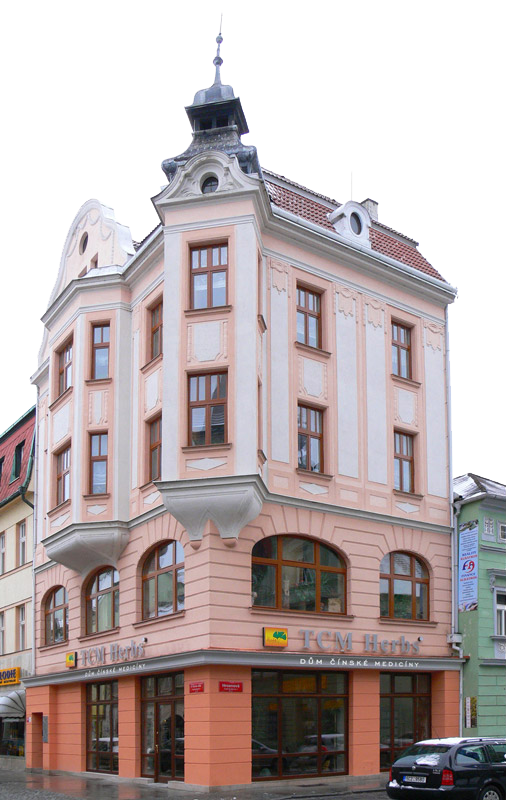 D�m ��nsk� medic�ny